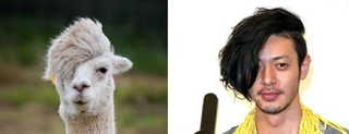 Illustration for article titled Japan's "Totally Looks Like" Meme Is Totally Amusing